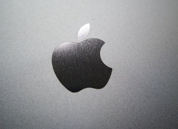 Apple logo, iPhone 5S space gray | Kārlis Dambrāns | Flickr Apple Watch Series 9 Health Monitoring Features