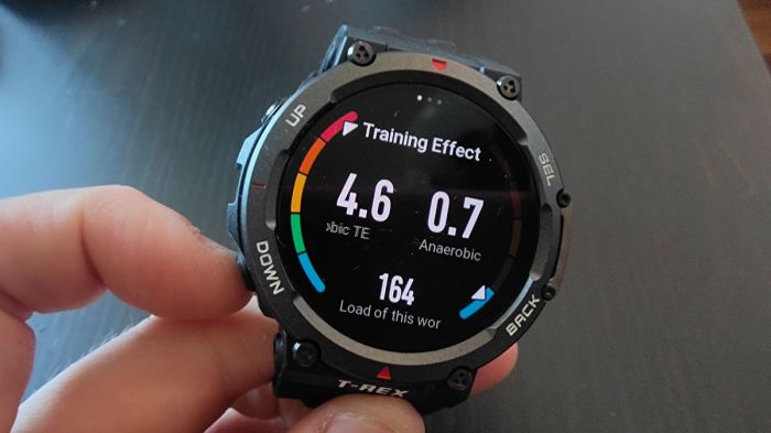 Amazfit T-Rex 2 Outdoor Sports Smartwatch Review