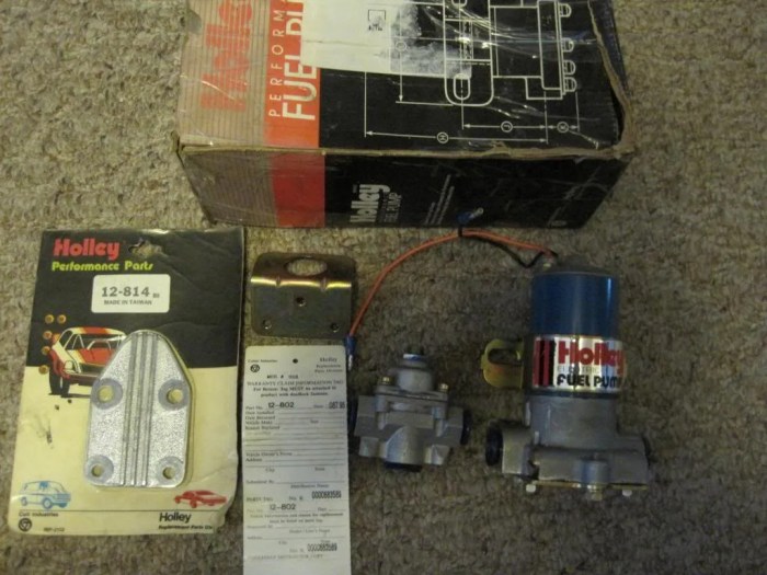 Holley 97 GPH Red® Electric Fuel Pump | Methanol fuel, Electricity, Pumps Holley Red Electric Fuel Pump Installation